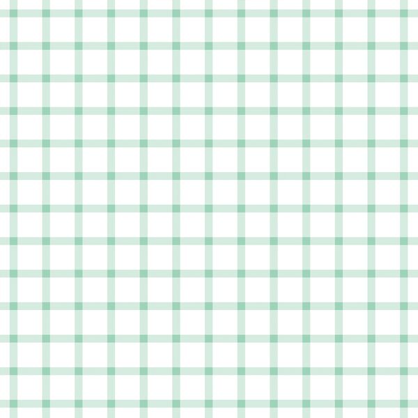 Summer Gingham Check in Sweet Mint