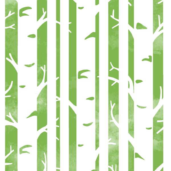 Big Birches in Greenery