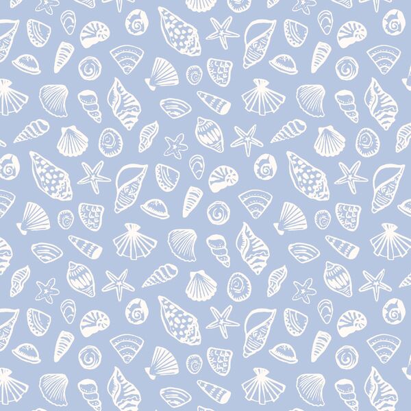Seashells in Summer Day