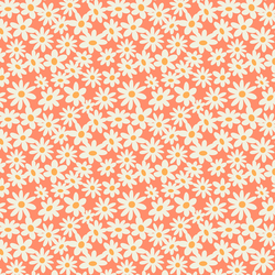 Groovy Daisies in Sherbet Pink