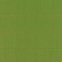 Artisan Cotton Yarn-Dye in Poison Green