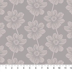 Anemone in Hazey
