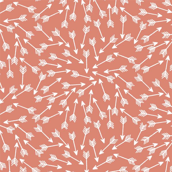 Arrows in Desert Rose