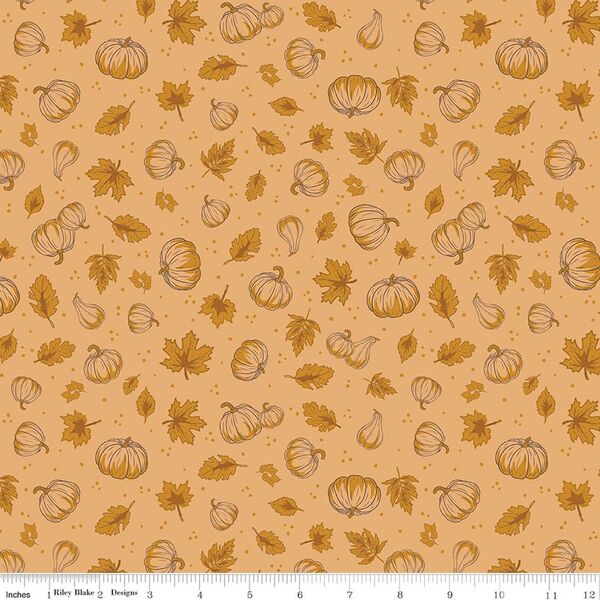 Pumpkins in Daisy