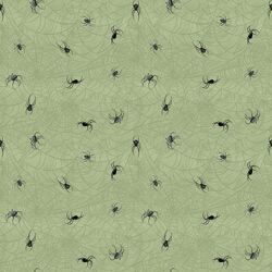 Spiders in Sage