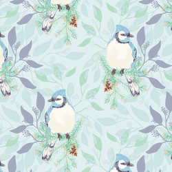 Blue Jay in Winter Blue