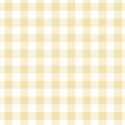 Gingham in Sunlight