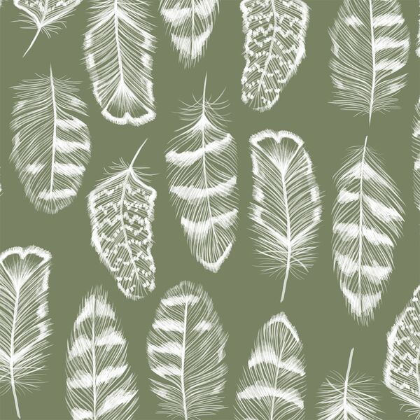 Plume in Olive