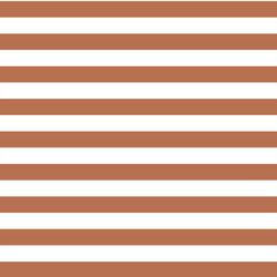 Horizontal Candy Stripe in Terracotta