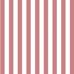 Candy Stripe in Berry