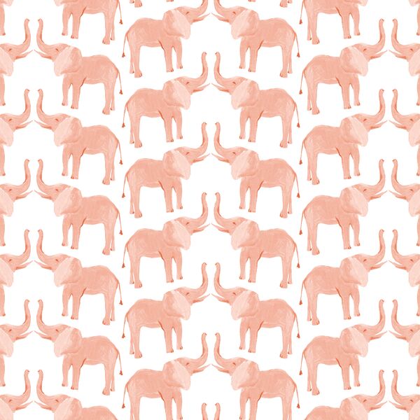 Tembo in Protea
