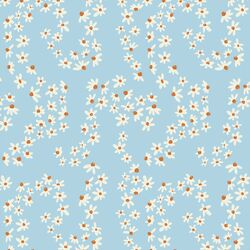 Daisy Fields in Clear Sky