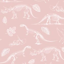 Fossils in Blush