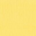 Artisan Cotton Yarn-Dye in Light Gold Light Pale Yellow