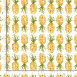 Pineapples in White