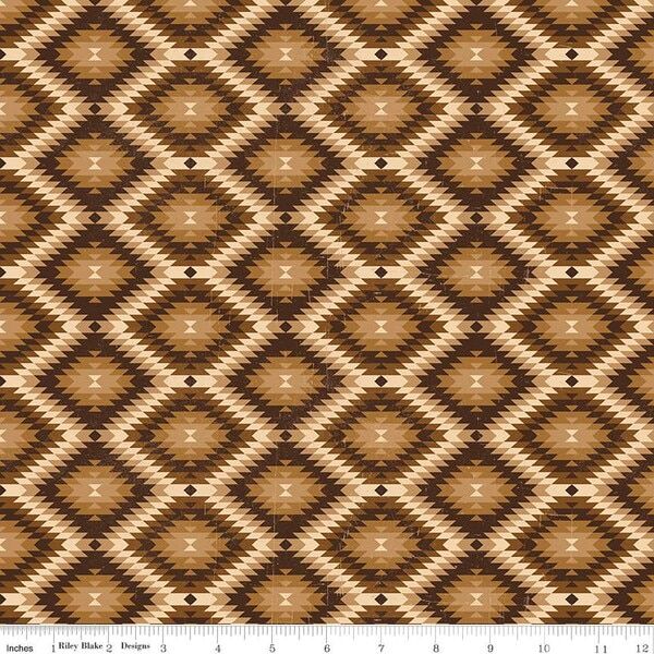 Southwest in Brown