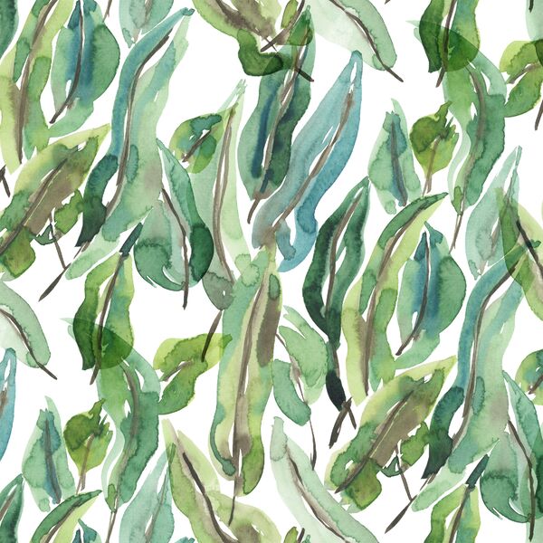 Large Tropical Leaves in Lush