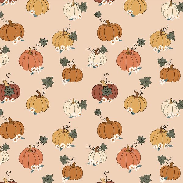 Sweet Pumpkin in Warm Blush