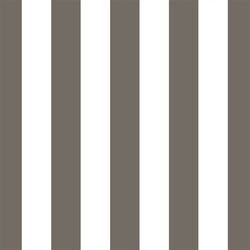 Play Stripe in Stone