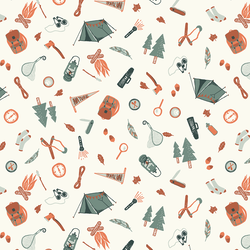 Camping Supplies in Cedar