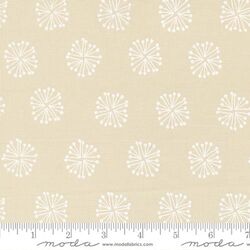 The Big Bang in White on White