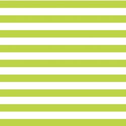 Horizontal Candy Stripe in Lime