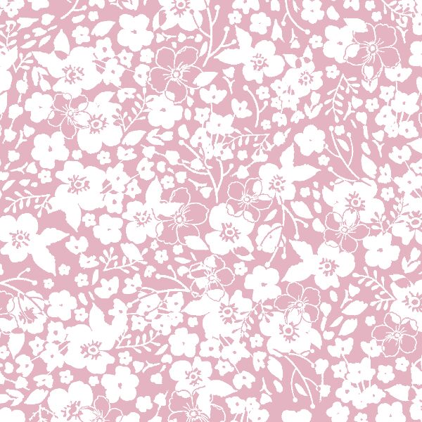 Forget Me Not in Carnation