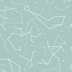 Star Charts in Aspen