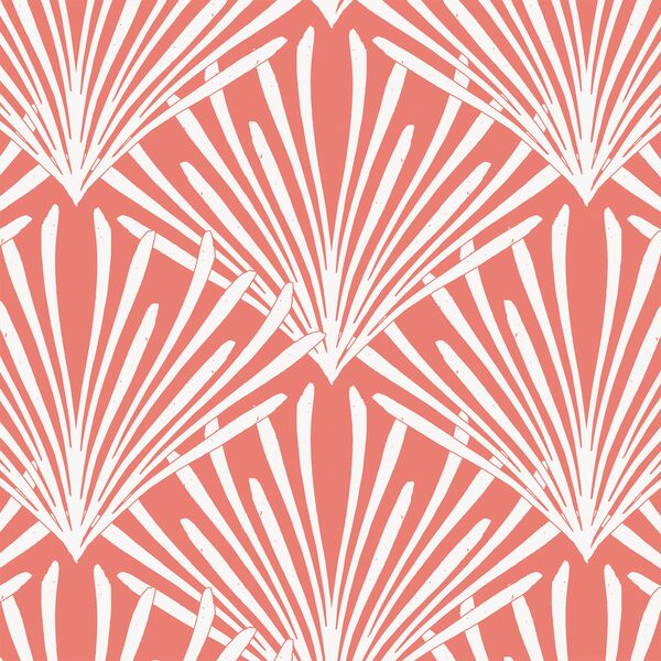 Large Shells in Red Coral