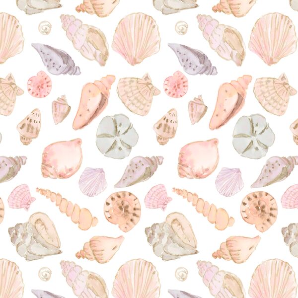 Seashells in Crest