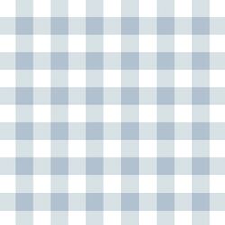 Meadow Gingham in Clear Blue