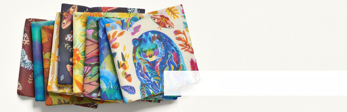 Northern Brights Preview Image