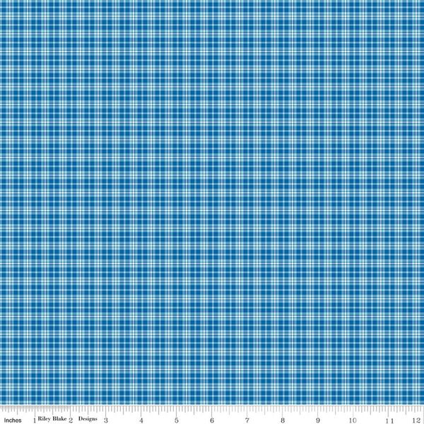 Plaid in Blue