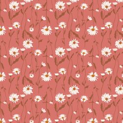 Wild Daisies in Rosa
