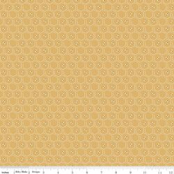 Honeycomb in Honey