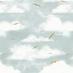 Bird Watching in Clear Sky