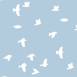 Flock Silhouette in Sky