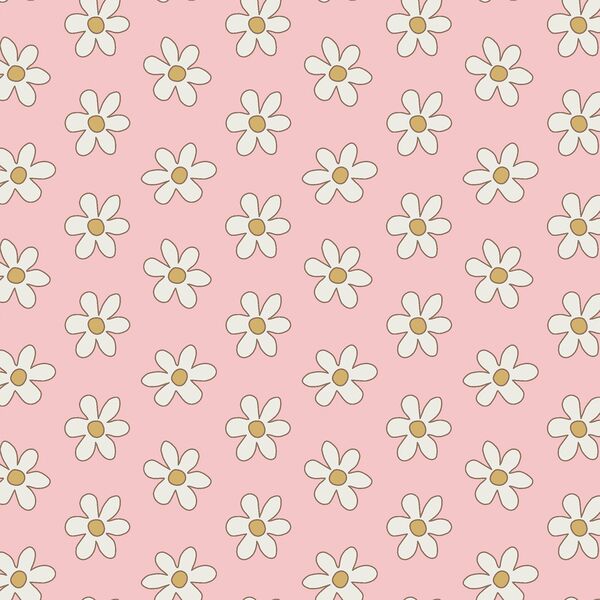 Spring Daisy in Blooming Pink