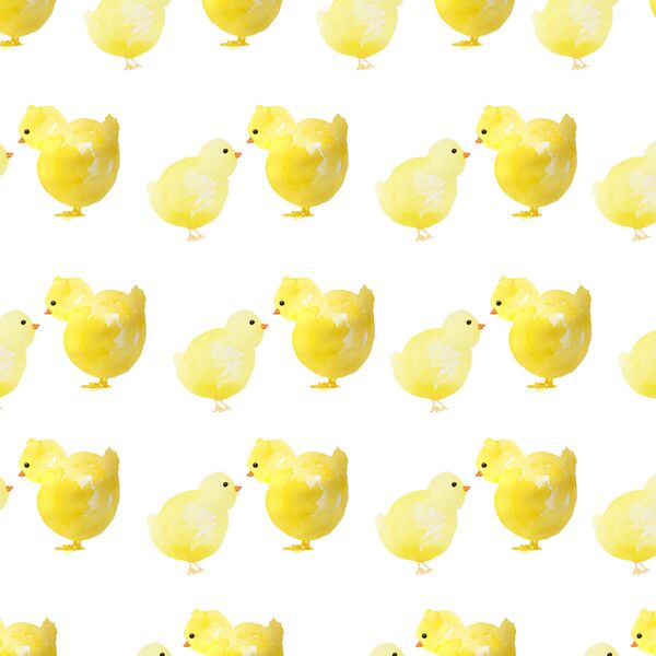 Hatched in Garden Party