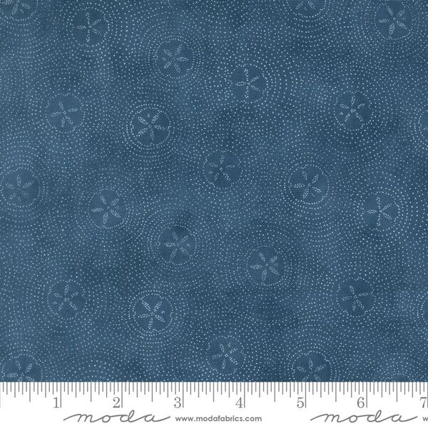Sand Dollar Ripples in Ocean Blue