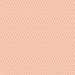 Mishmesh in Orange Soda