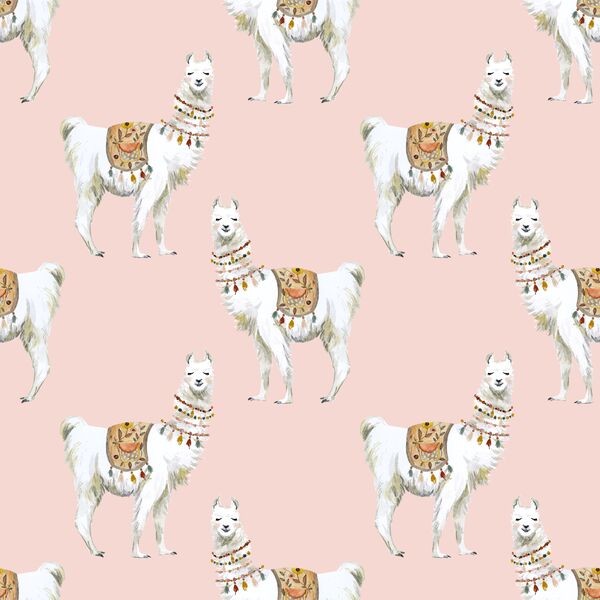 Llamas in Pink