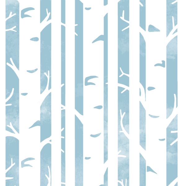 Big Birches in Bluebell