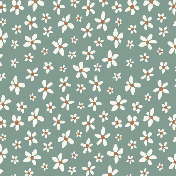 Daisies in Thyme