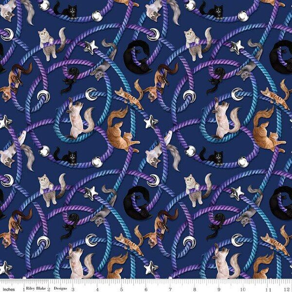 Main in Navy
