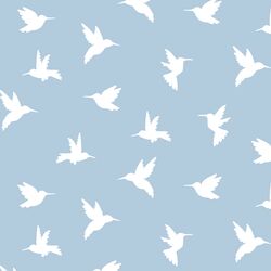 Hummingbird Silhouette in Sky