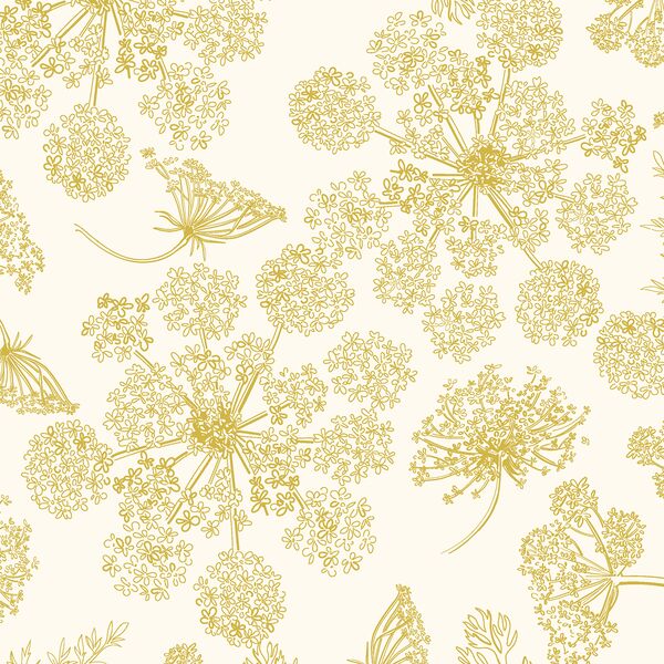 Queen Annes Lace in Citron