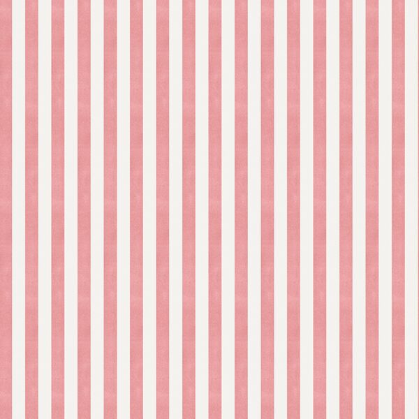Tent Stripe in Strawberry Pink