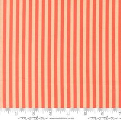 Stripe in Coral