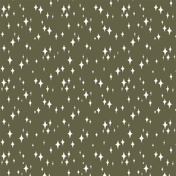 Starry Night in Forest